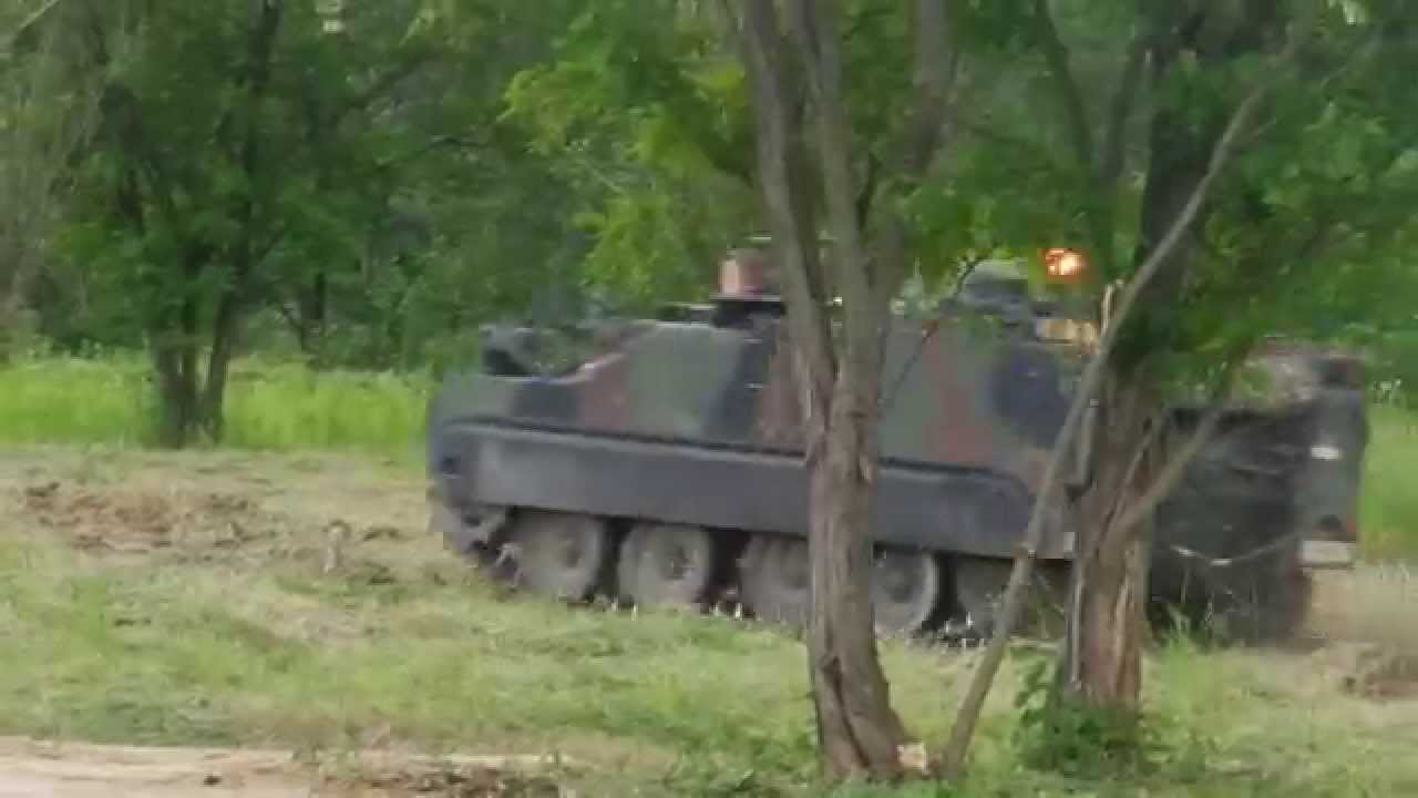 M113 Lynx