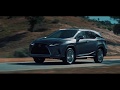 Celebrating 30 years of Lexus in Costa Rica!