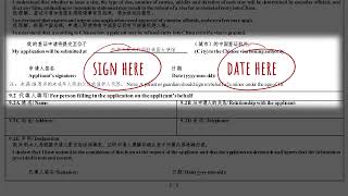 How to sign the China Online Visa Application Form