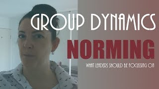 Group development - 3. Norming (Part 1): Leader focus areas