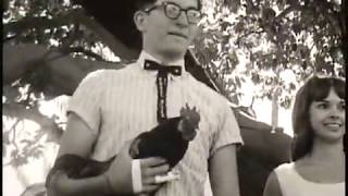 The 13th Annual Rogue River Rooster Crow Contest! Rogue River, Oregon, 1965