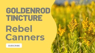 Goldenrod tincture #apothecary