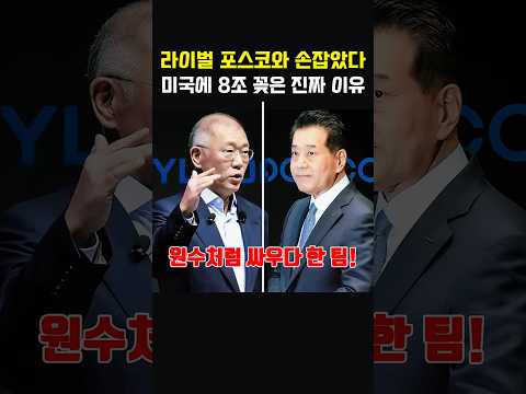 '힘을 합쳐야지' 20년 라이벌 포스코와 손잡은 정의선의 8조 승부수 #정의선 #포스코 #현대제철 #현대차그룹, thumbnail