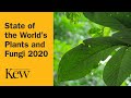 State of the World’s Plants and Fungi 2020