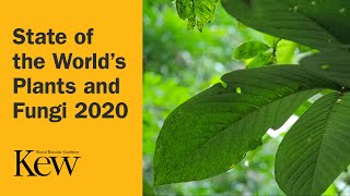 State of the World’s Plants and Fungi 2020