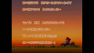 マリカーDSのEDに歌詞をつけてみた。【マリオカートDS】