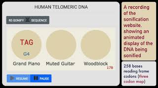 Example 1. Human Telomeric DNA