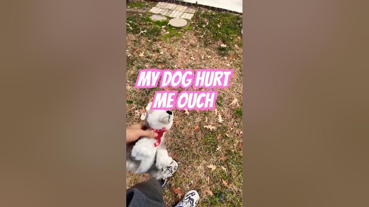 NO MY DOG HURT ME OUCH 🤕 LOL SHE IS SO FAST! SUBSCRIBE 🥹 YouTube