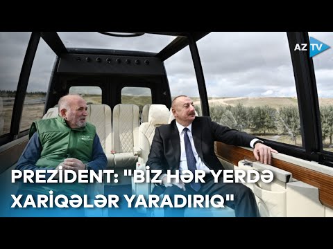 Prezident zeytun bağlarını gəzdi: \