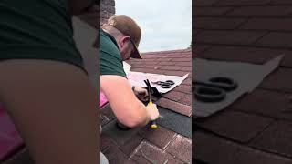 IMG 5841