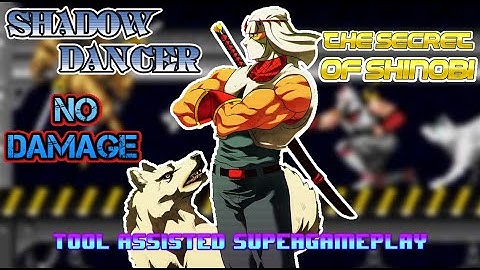 Shadow Dancer Very Hard No Death TAS