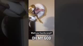What your favorite ball python morph?#ballpython #snake #reptile #reptiles
