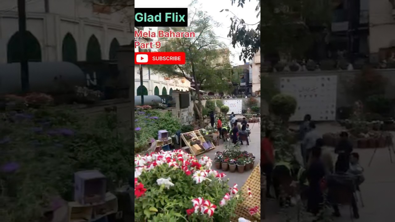 Part 9 mela baharan delhi gate lahore | spring festival lahore | flower exhibition wazeer masjid