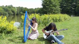 Nothing else matters - METALLICA - electric harp (electroharp) and electric guitar