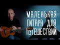 Гиталеле – маленькая гитарка для путешествий | Gitaraclub.ru