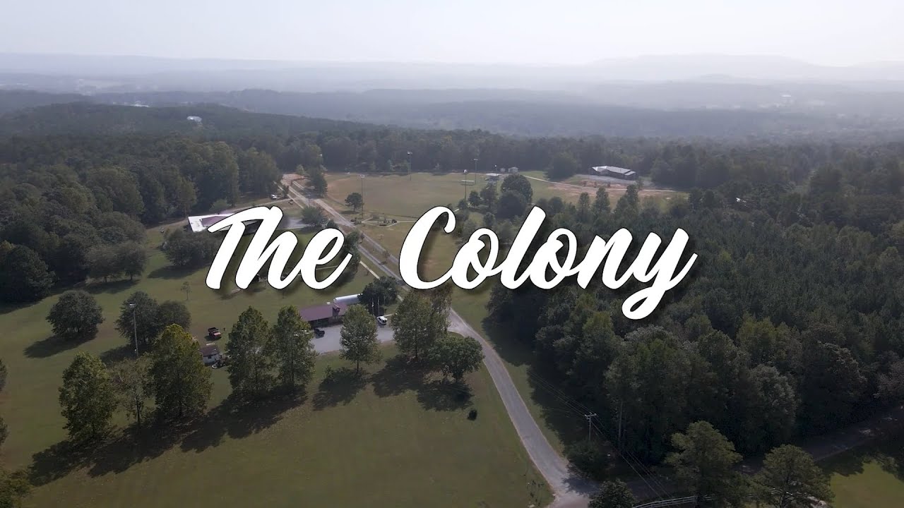 The Colony