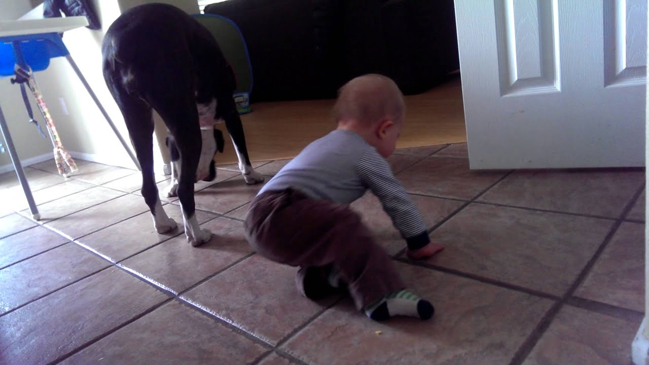 The art of fit throwing, round 2 YouTube