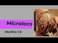 Microloc Journey | Months 1-6 visual update