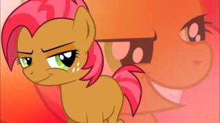 Mlp Babs Seed Dubstep Remix Ponygasm Warning