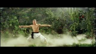 Jet Lee Shaolin Temple Original