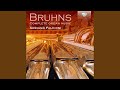 Miniature de la vidéo de la chanson Variationen Über Das Niederlandische Lied “Ach Du Feiner Reiter”