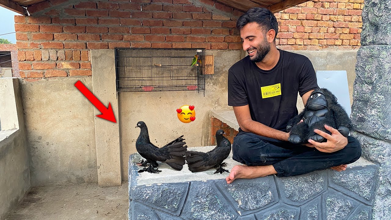 Hmare Black Lucky 🥳🎉