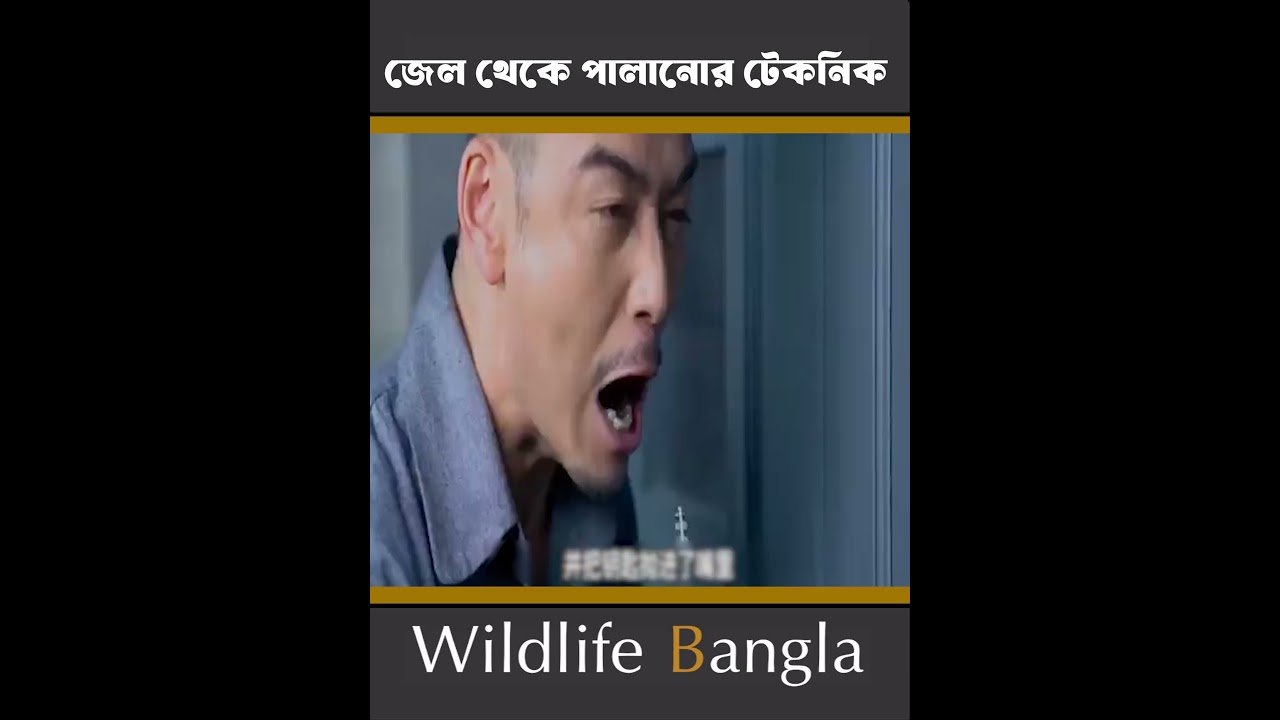 জেল থেকে পালানোর নিন্জা টেকনিক #wildlife bangla