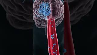 how oxytocin work ? #brainscience #neuroscience #science #shorts