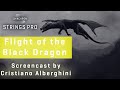 Synchron Strings Pro: Flight of the Black Dragon, Screencast by Cristiano Alberghini