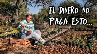 Campesina PRESIDENTA de este lugar revela su 'Valiosa FORTUNA' | ¡La de despertar cada día aquí!