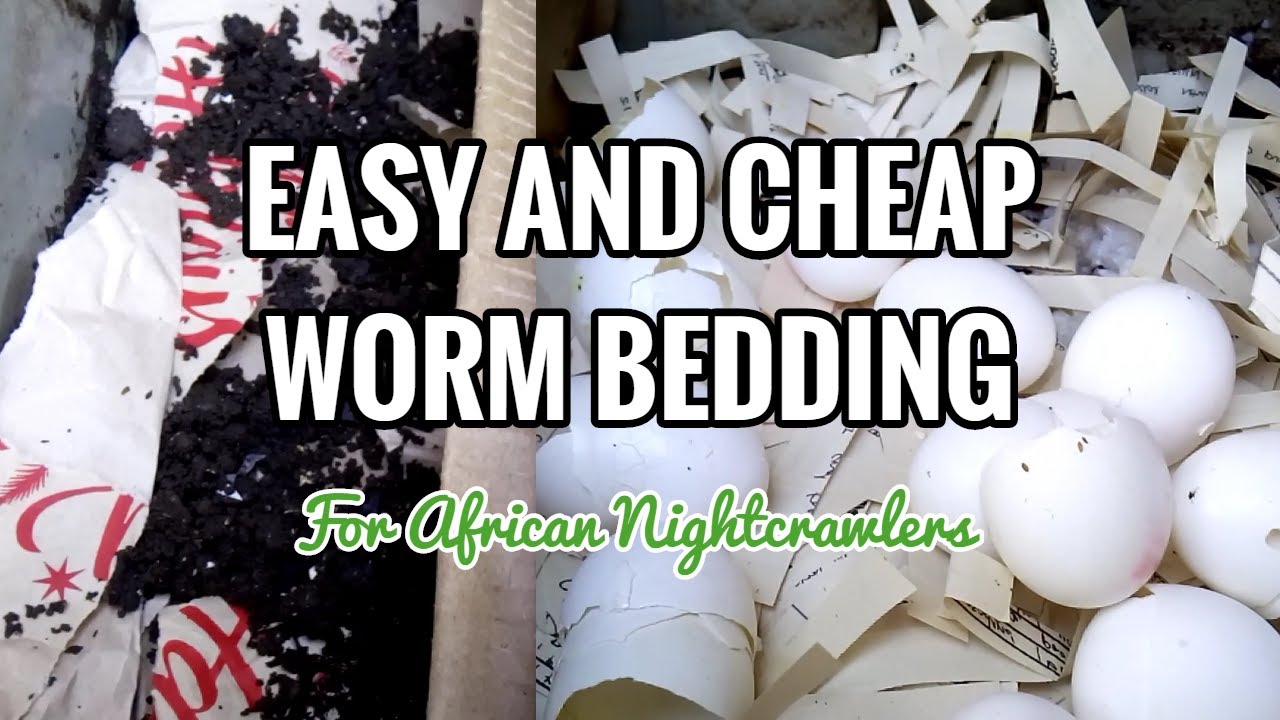 How Do You Make Nightcrawler Worm Bedding?