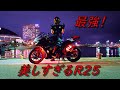 美しすぎるR25のおすすめカスタム紹介【YZF‐R25】【モトブログ 】