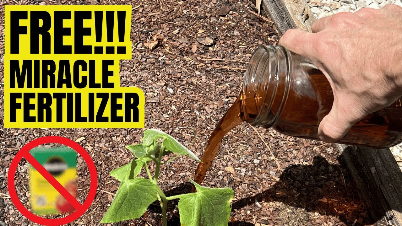 Say Goodbye To Overpriced Fertilizers | This FREE DIY RECIPE Will Blow Your  Mind