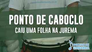 Ponto de Caboclo - Caiu uma folha na Jurema