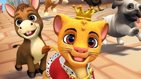 Pet Run All Levels Walkthrough iOS Android New Update