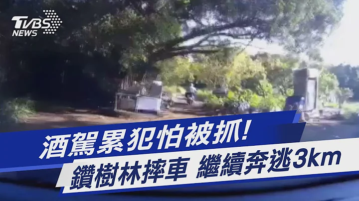 酒駕累犯怕被抓! 鑽樹林摔車 繼續奔逃3km｜TVBS新聞 @TVBSNEWS01 - 天天要聞