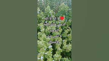 لا إله إلاّ الله #تلاوة_مؤثرة #تلاوة_خاشعة #إسلام_صبحي