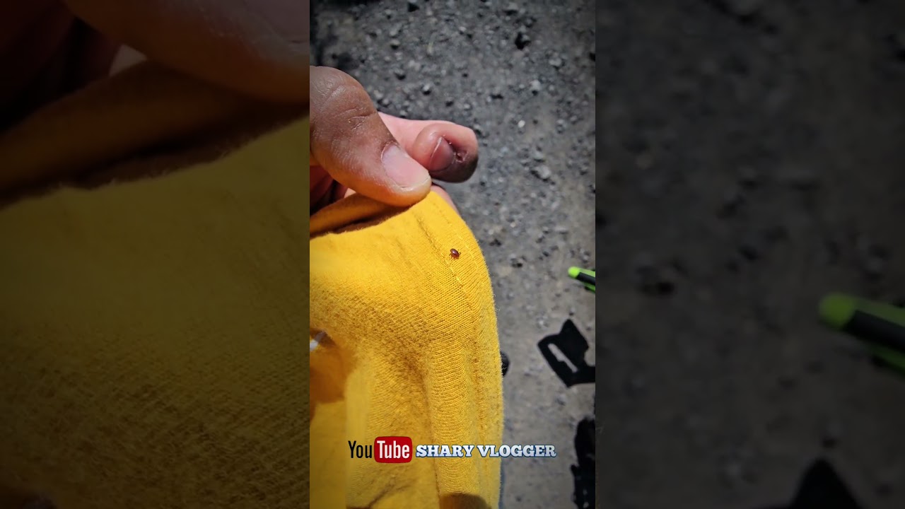 E PLIN DE CAPUSE PESTE TOT CUM INTRU PRIN IARBA IES PLIN OMG 