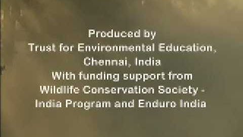 Segment 9 of 9: Monitoring Tigers - Credits