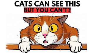 11 STRANGE Things ONLY Cats Can See And Hear But You Can't!