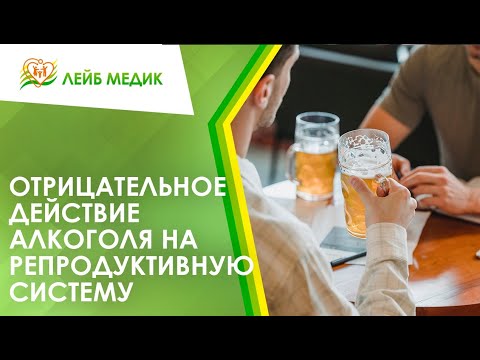 🥂 Отрицательное действие алкоголя на репродуктивную систему