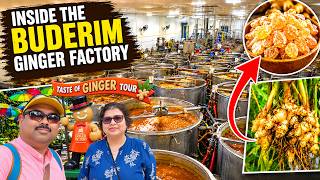 Inside the Buderim Ginger Factory 🇦🇺 | Famous Sunshine Coast Ginger Tour