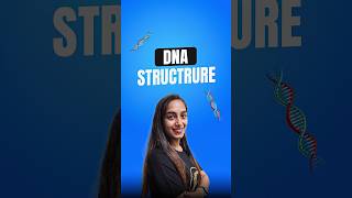 II DNA Structure II