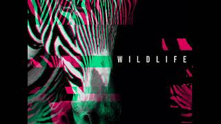 Ian Post - Wildlife - Ariels Dance No Backing Vocals