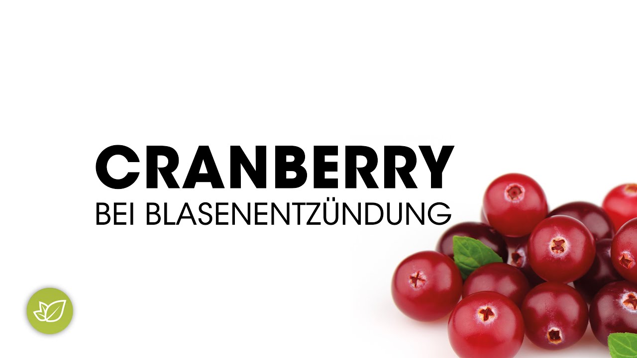 Cranberry Oder Preiselbeere Bei Blasenentzündung www.youtube.com