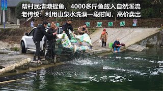 清塘把4000多斤鱼转入溪流 白嫖山泉水提升肉质 养鱼靠它赚大钱