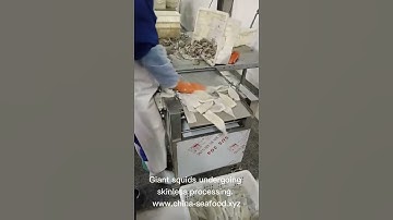Giant squid tube skinless processing-demo. China seafood (squid ring, tentacles ),exporter /supplier