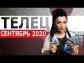 ТЕЛЕЦ СЕНТЯБРЬ 2020. Расклад Таро от Анны Арджеванидзе