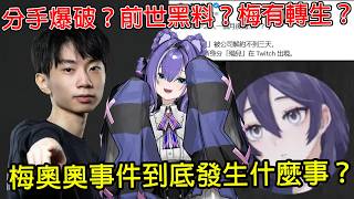 梅奧奧事件整理，分支一直開究竟發生了什麼事？遊戲角落被指控造謠？究竟有沒有轉生？｜梅奧奧｜玉米咪｜台V｜什麼是轉生