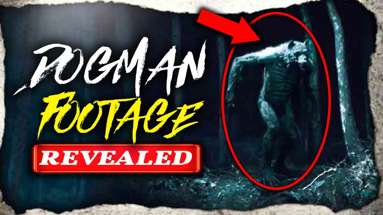 Michigan Dogman has been Caught on Camera, and We've Got the Proof
